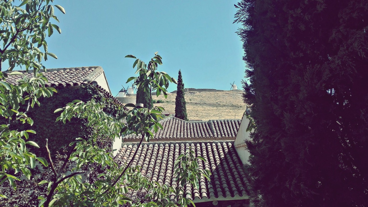 Photo of Others in Consuegra