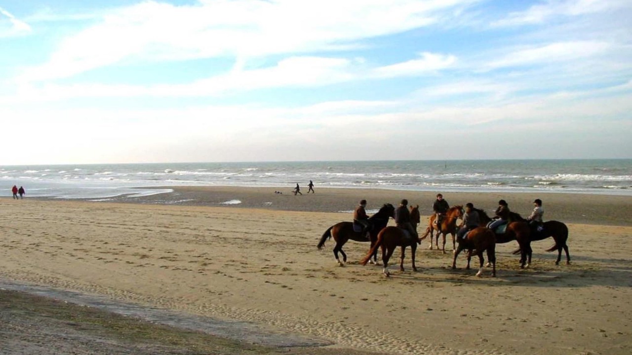 Photo of Others in Blankenberge