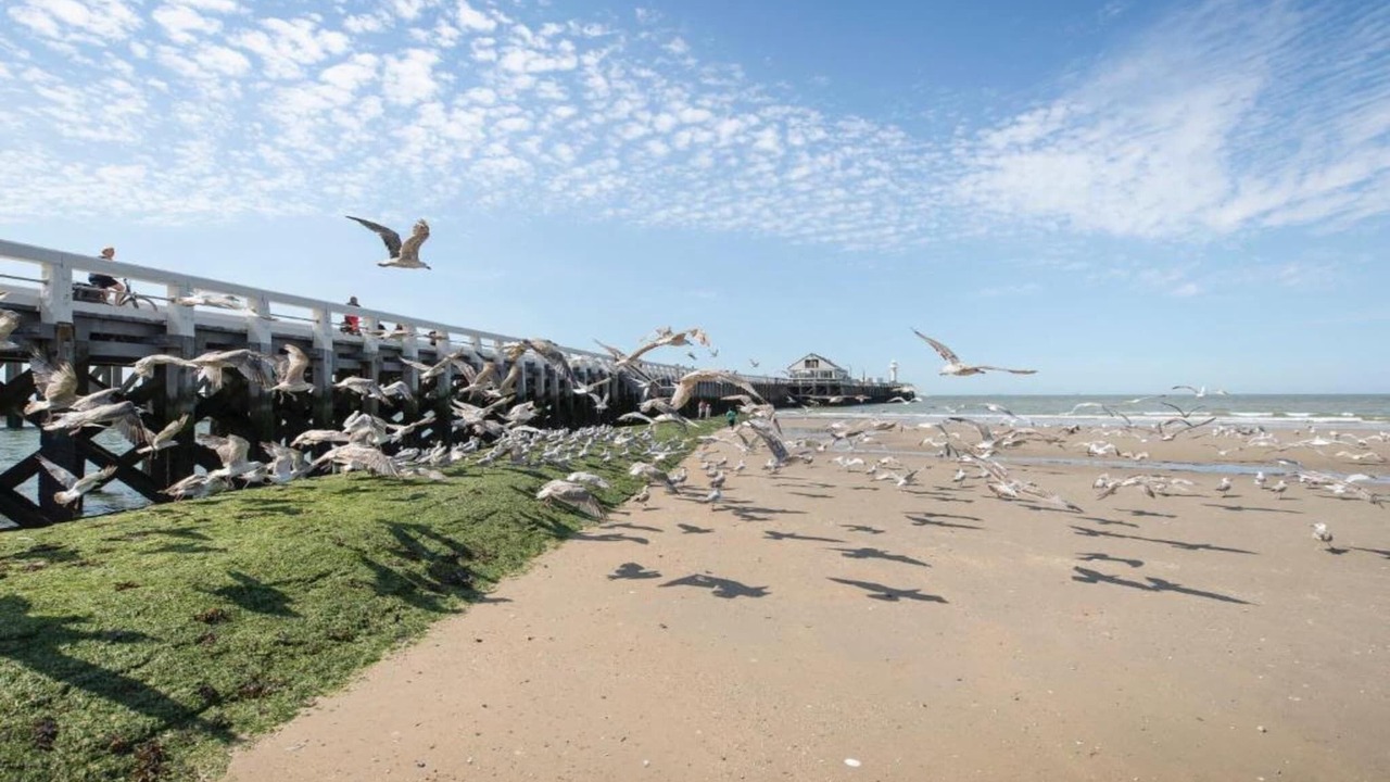 Photo of Others in Blankenberge