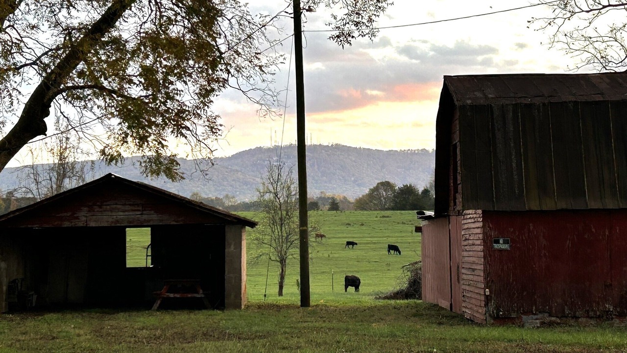 Photo of Others in Travelers Rest