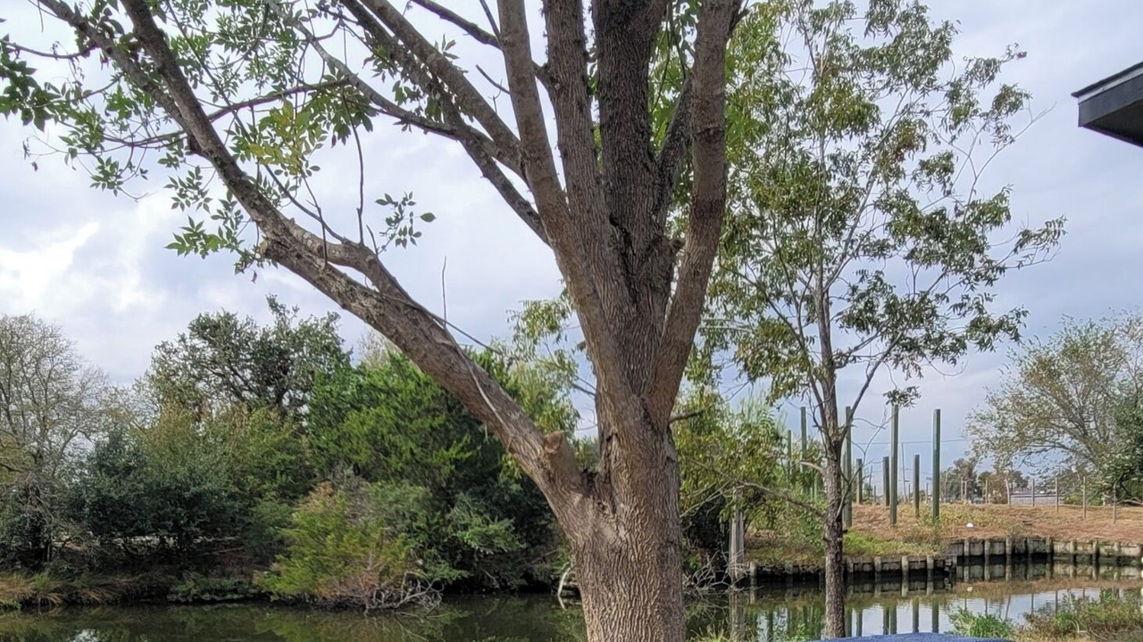 Photo of Outdoor in Baytown