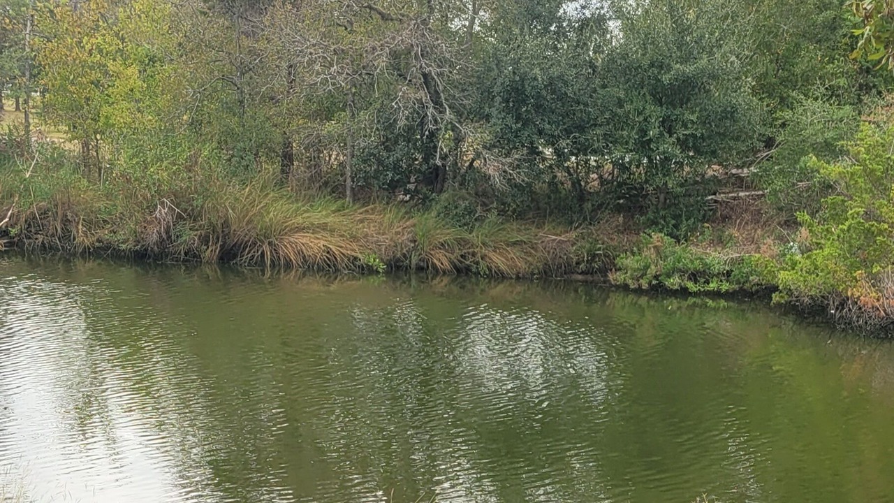 Photo of Others in Baytown