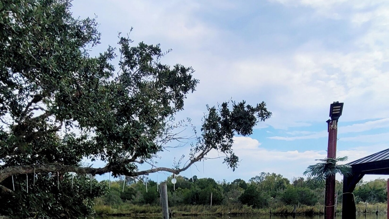 Photo of Outdoor in Baytown