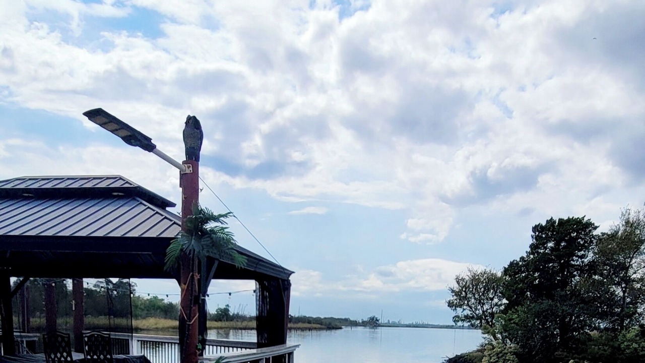 Photo of Outdoor in Baytown