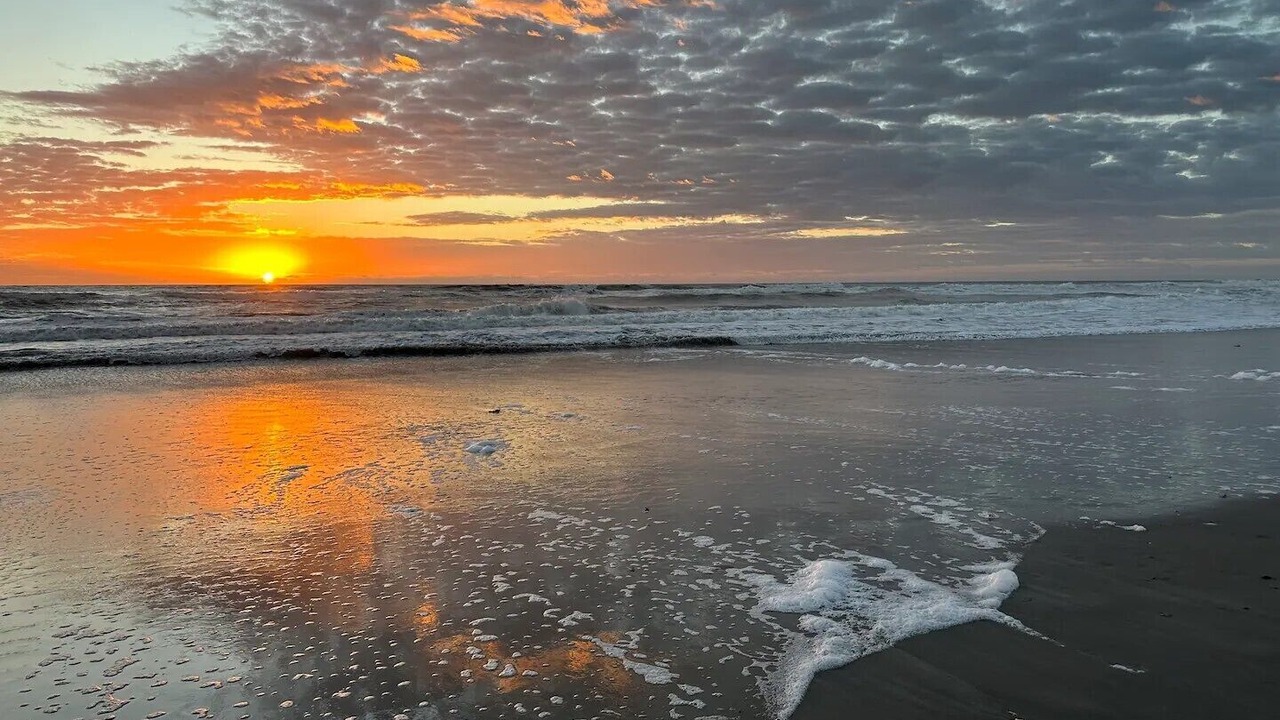 Photo of Others in Cocoa Isles