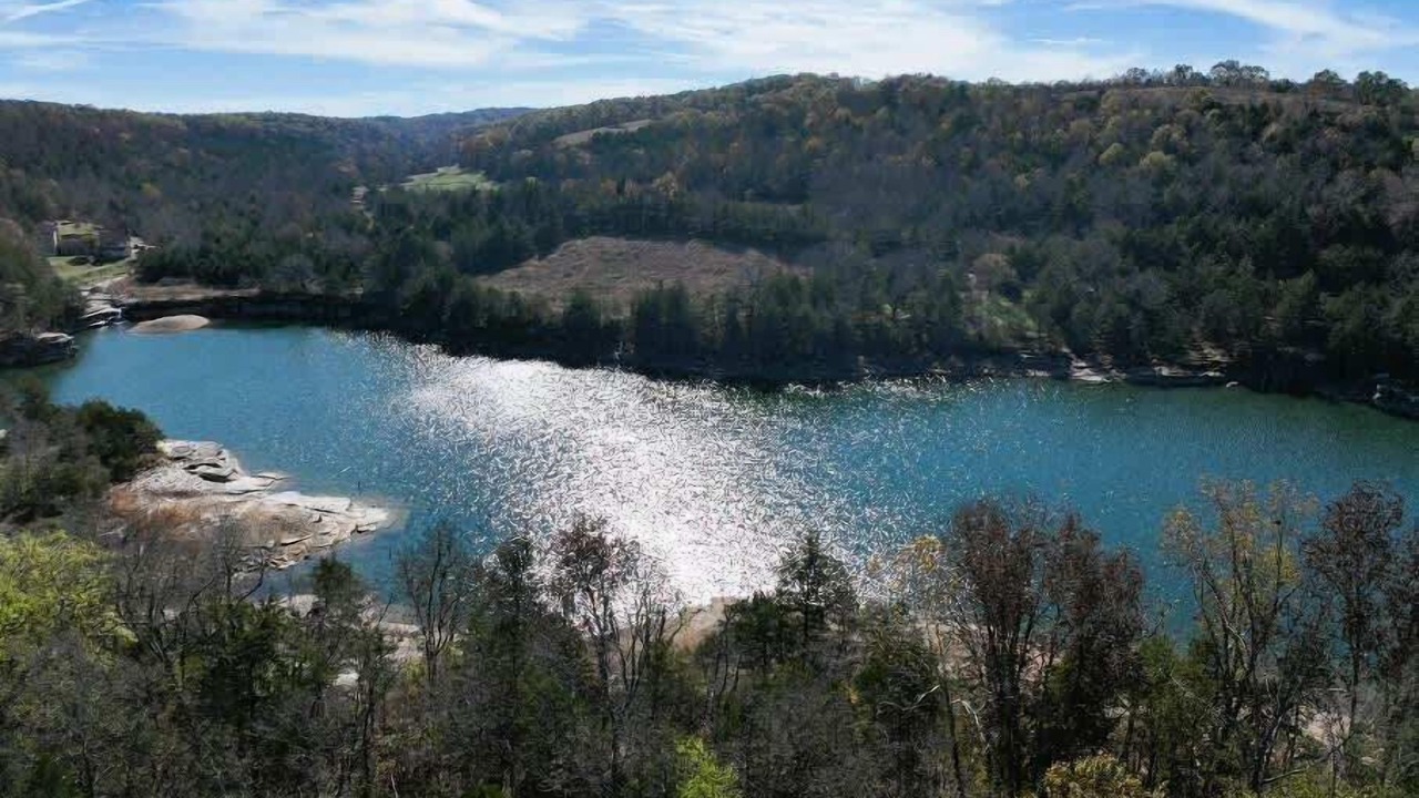 Photo of Outdoor in Eureka Springs