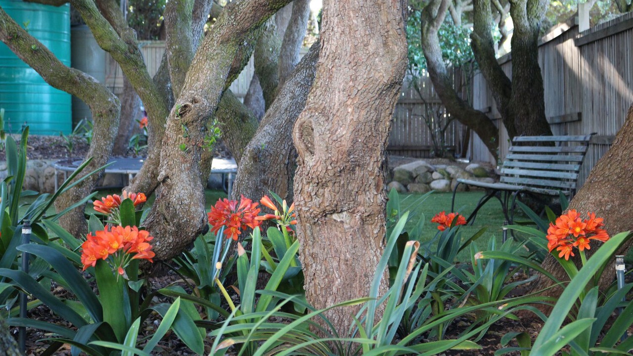 Photo of Outdoor in Kommetjie