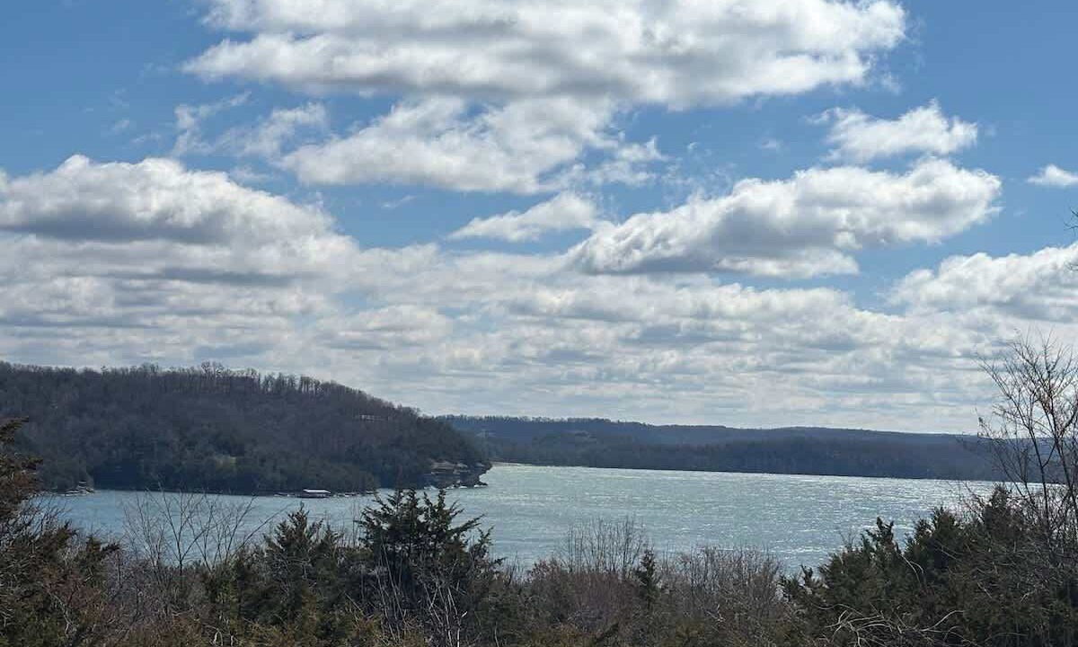 Photo of Others in Garfield