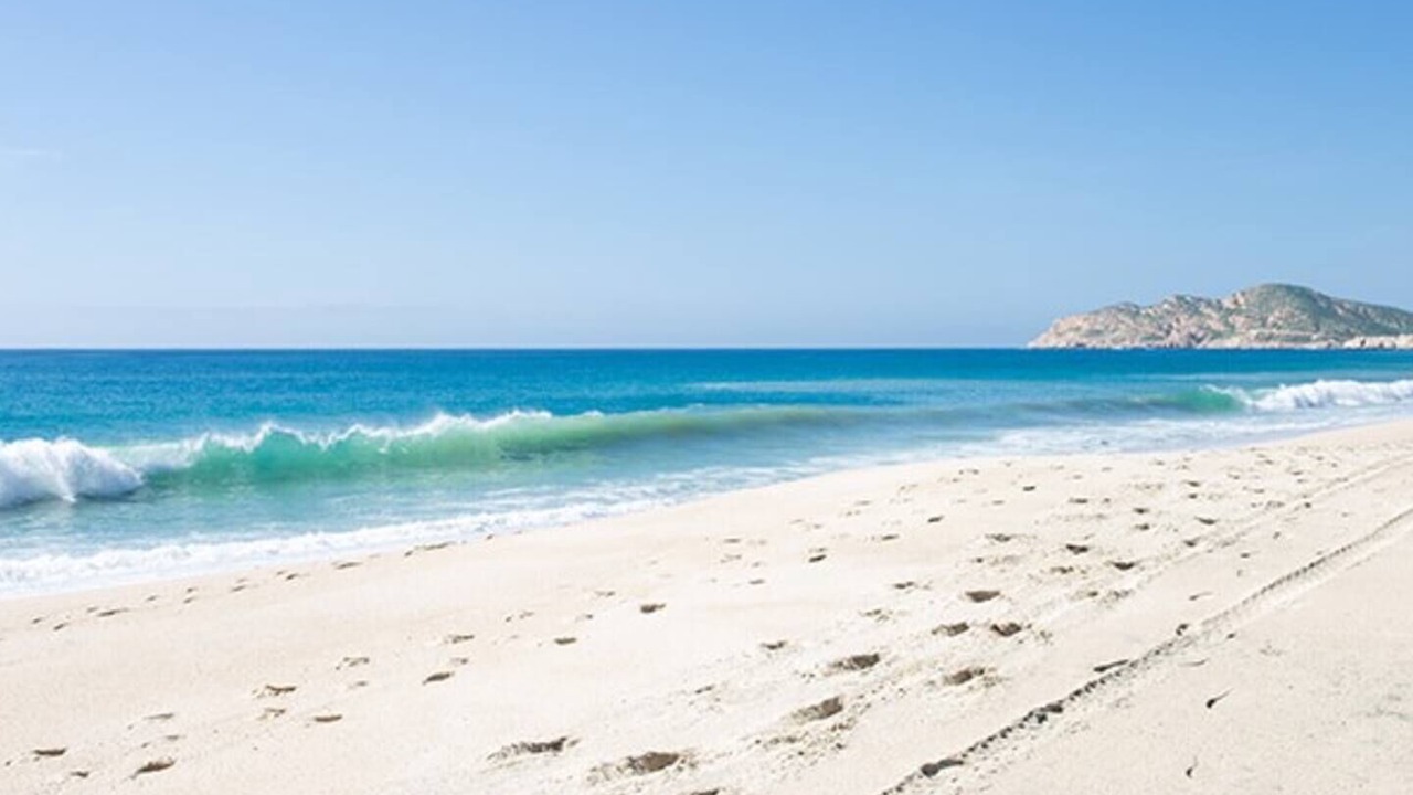 Photo of Others in Palmilla