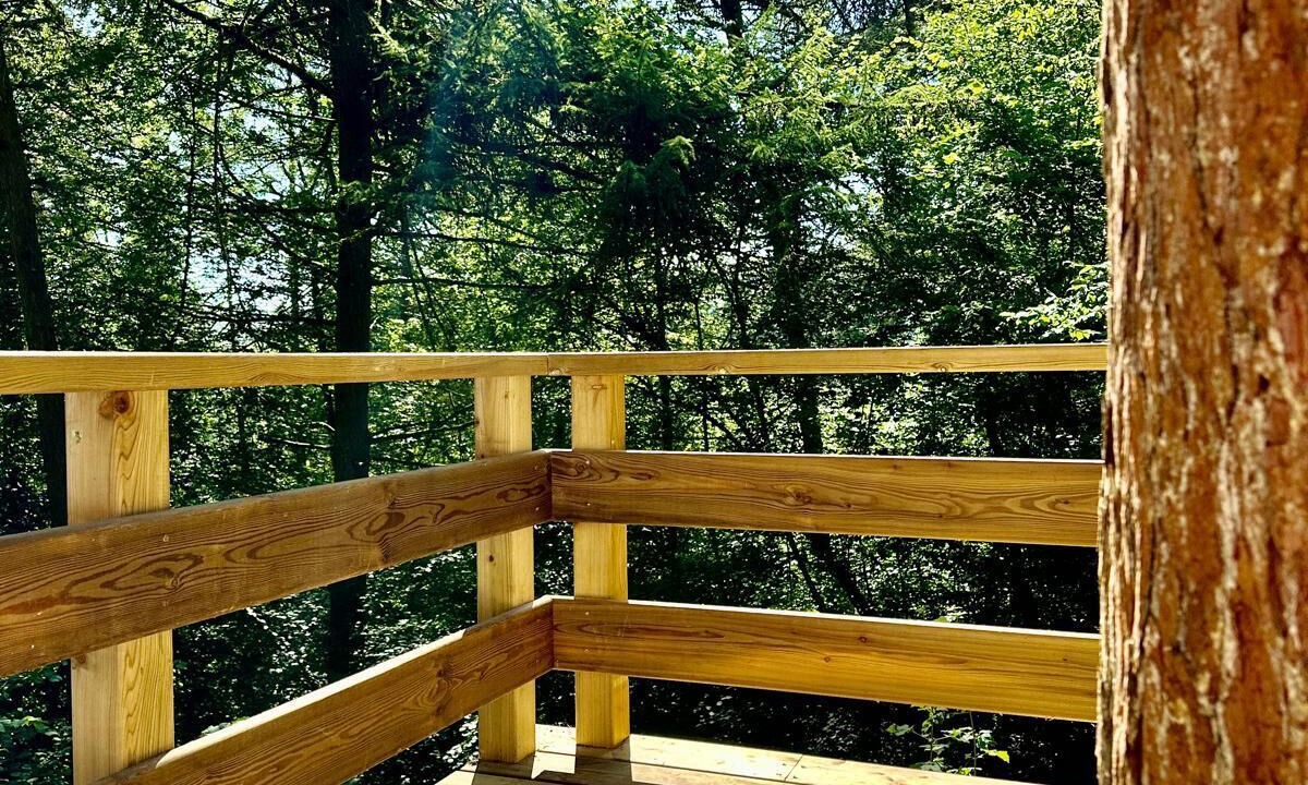 Photo of Outdoor in Blaimont