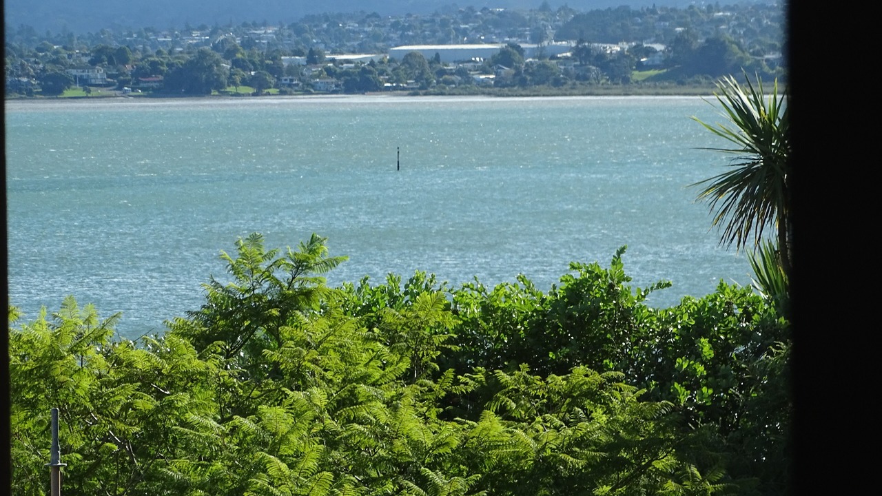 Photo of Others in Beach Haven