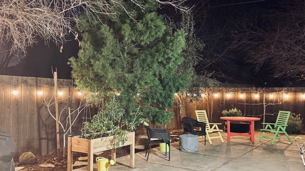 Photo of Outdoor in Davis