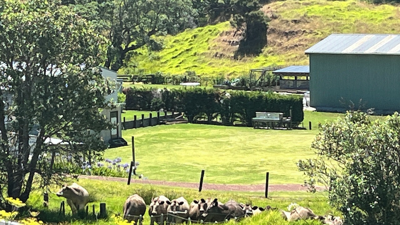 Photo of Others in Whangarei Heads