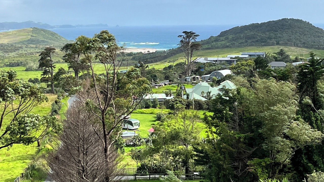 Photo of Others in Whangarei Heads