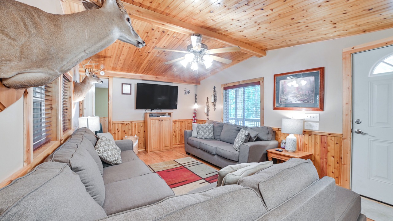 Photo of Livingroom in Dover