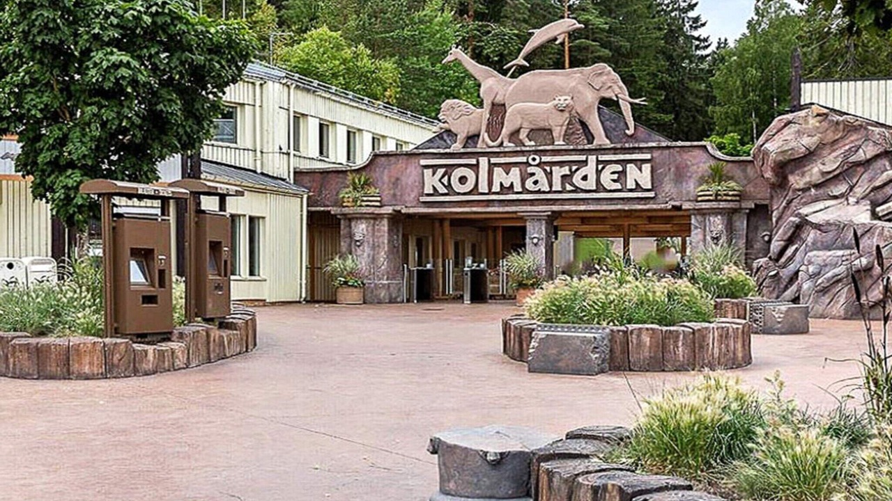 Photo of Others in Ljusfallshammar