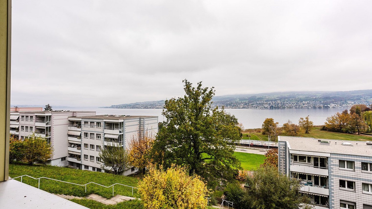 Photo of Others in Horgen District