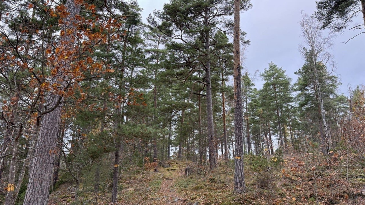 Photo of Others in Oskarshamn Municipality