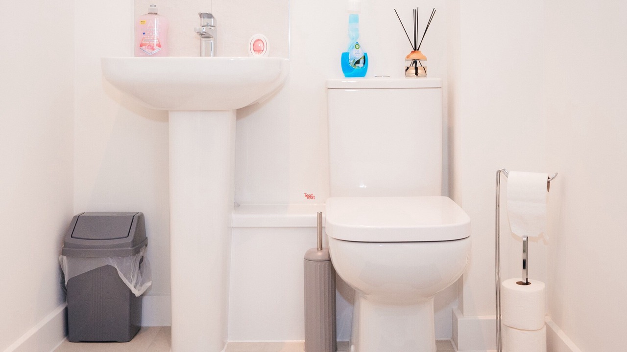 Photo of Bathroom in Royal Docks