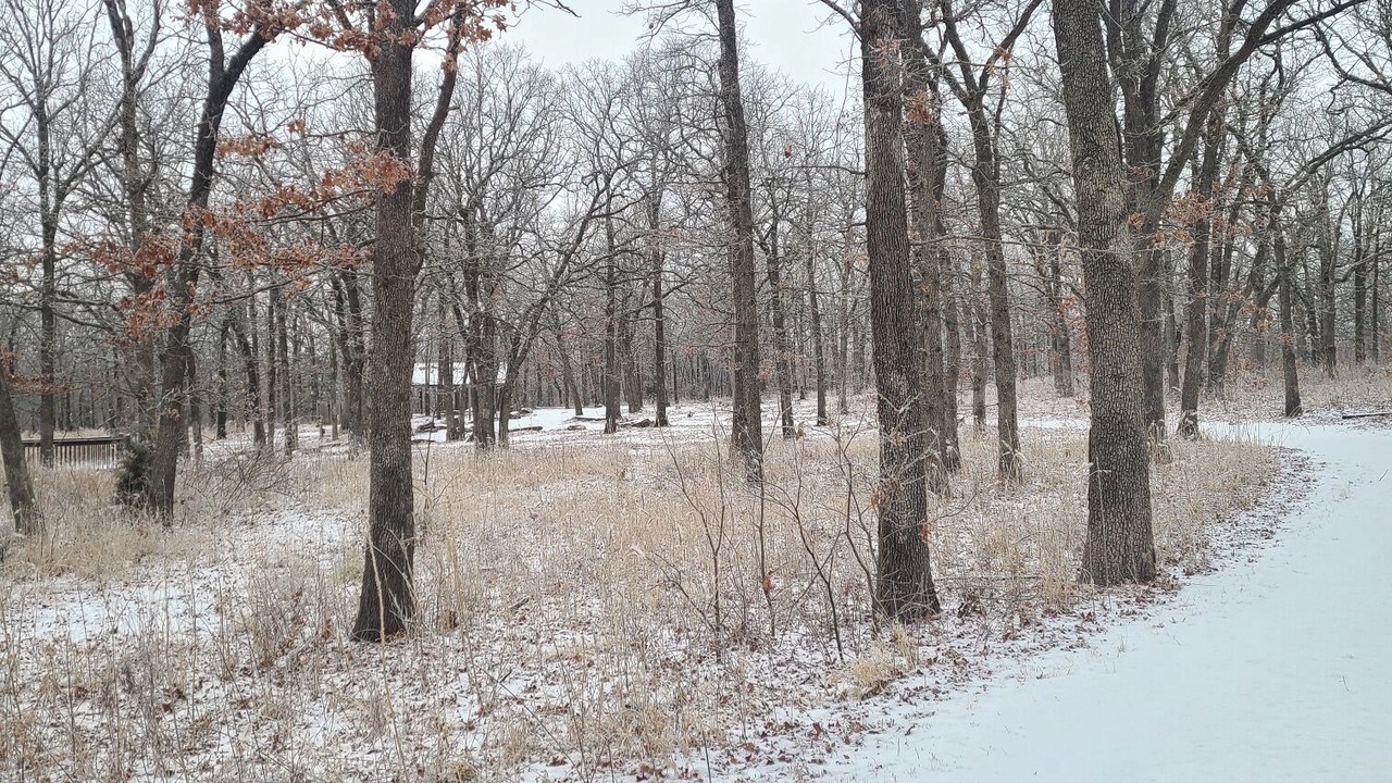 Photo of Others in Tulsa
