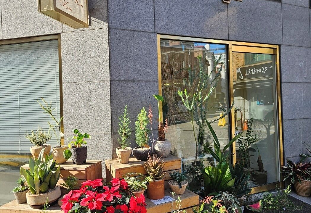 Photo of Outdoor in Mapo