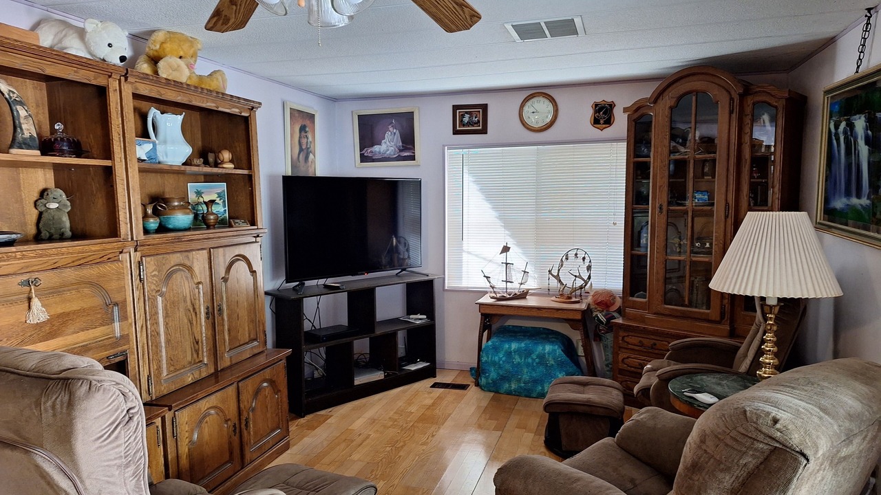 Photo of Livingroom in Apache Junction