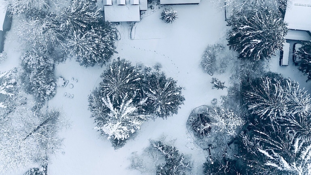 Photo of Outdoor in Woodinville