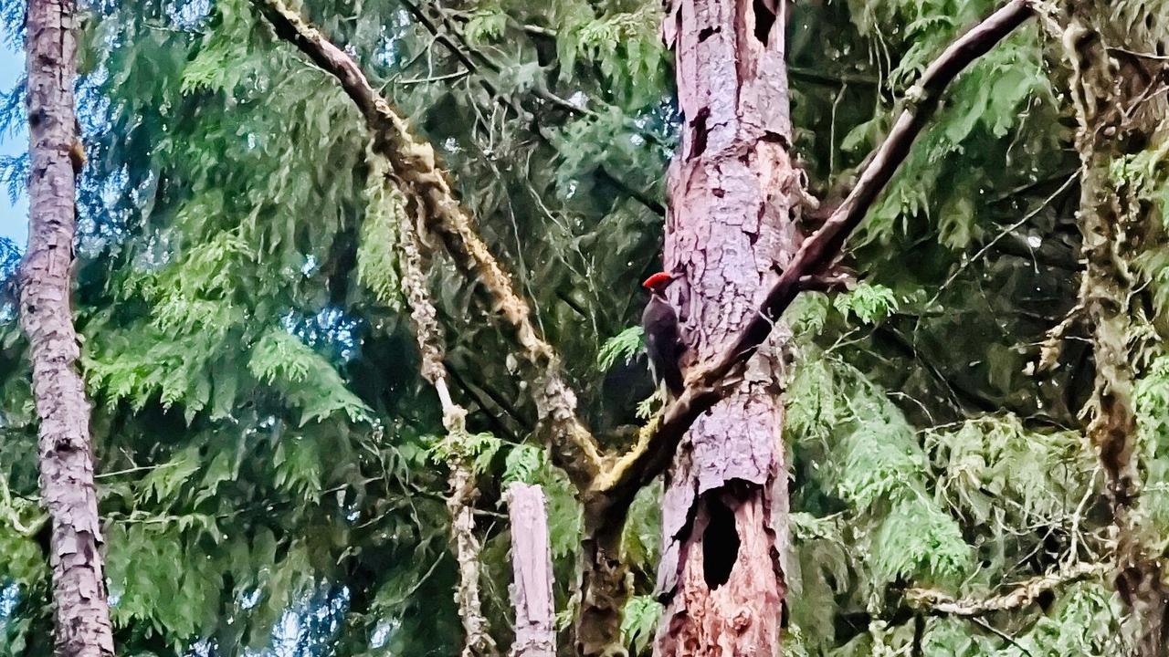Photo of Others in Woodinville