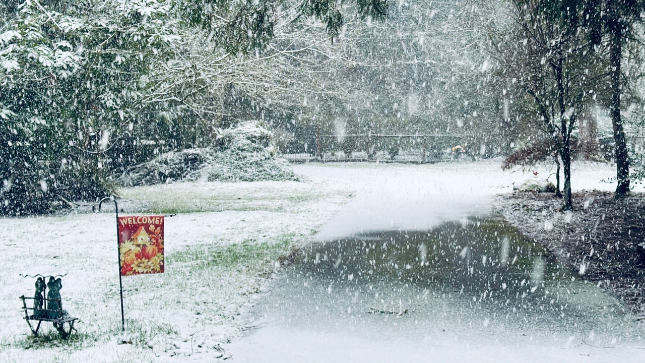 Photo of Others in Woodinville