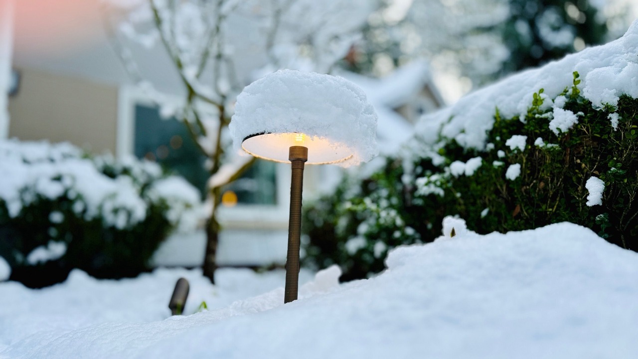 Photo of Outdoor in Woodinville