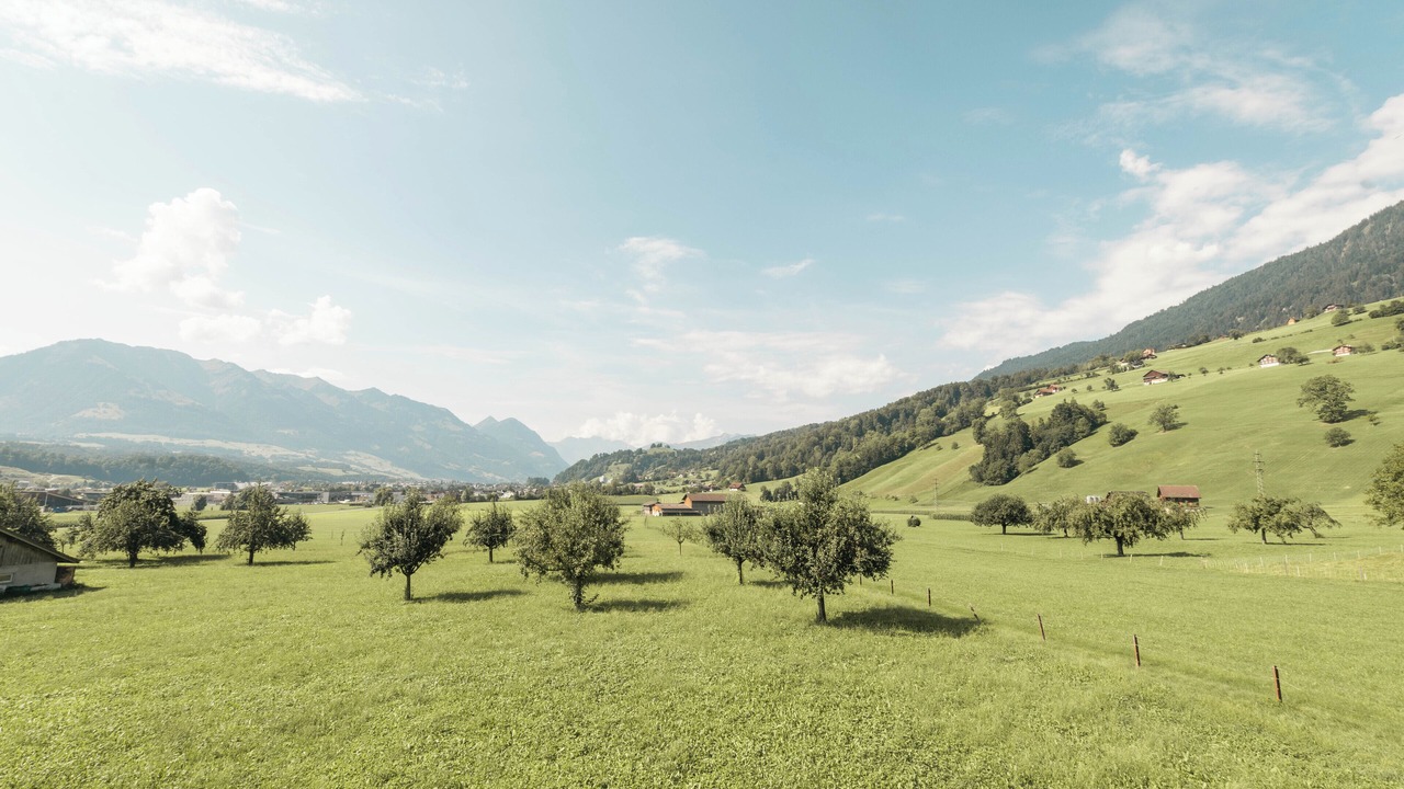 Photo of Others in Weissenstein
