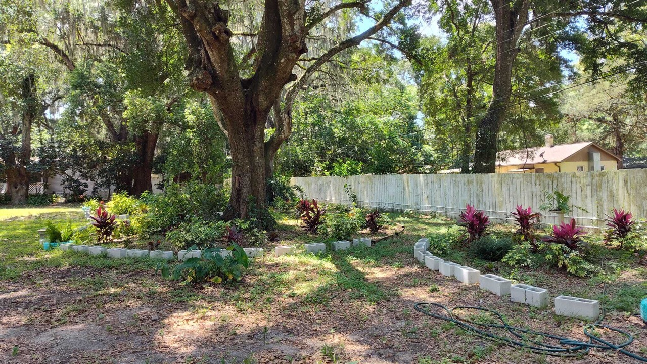 Photo of Outdoor in Belleview