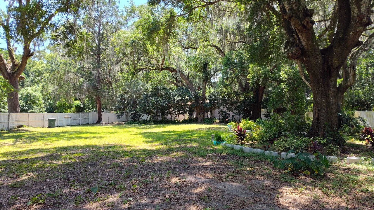 Photo of Outdoor in Belleview