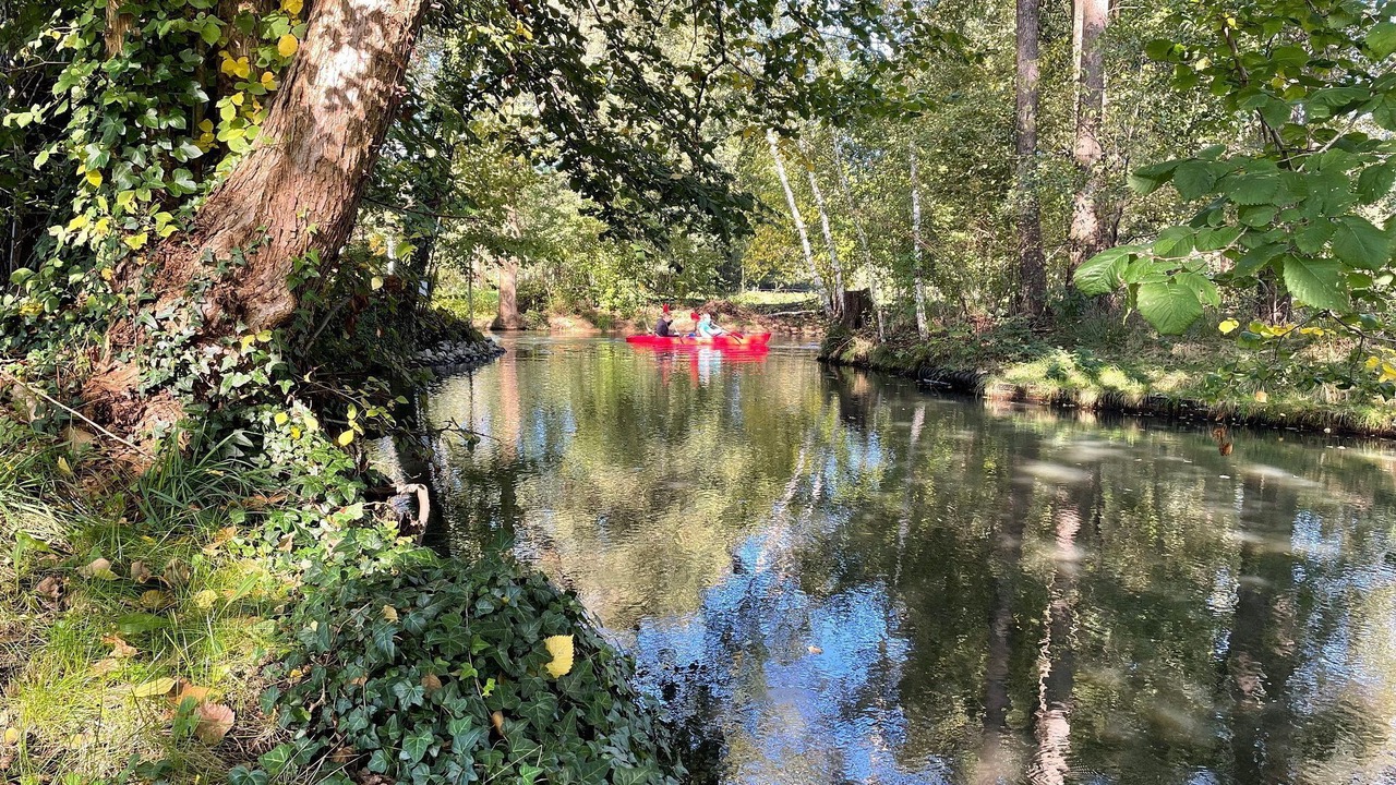 Photo of Others in Burg-Kauper