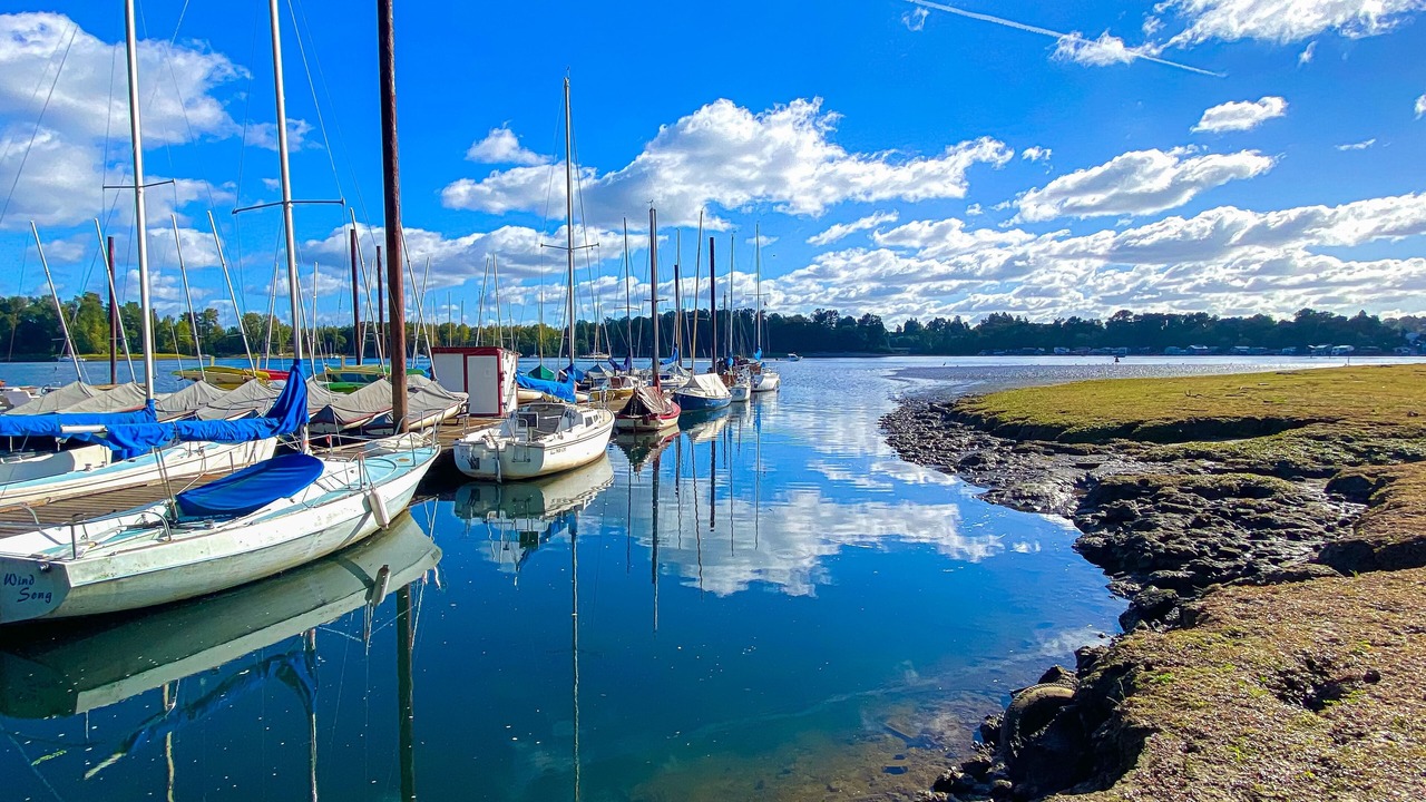 Photo of Others in Johns Landing