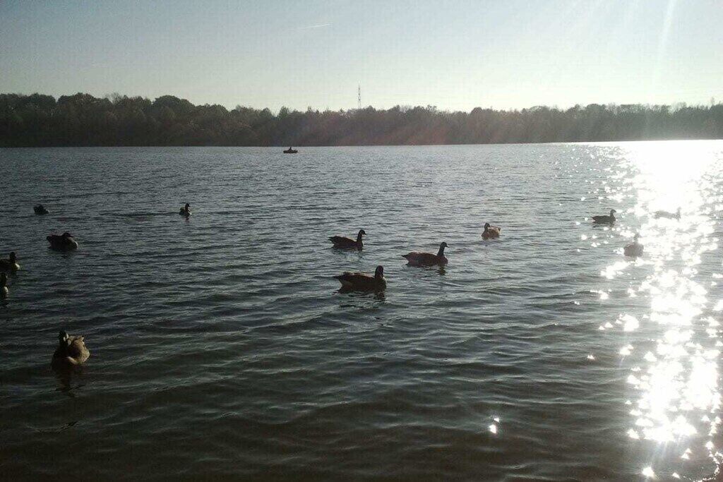 Photo of Others in Bergisch Gladbach