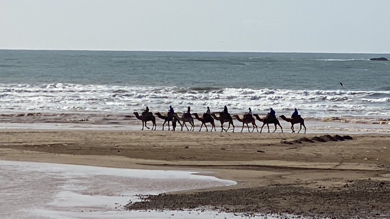 Photo of Others in Ghazoua
