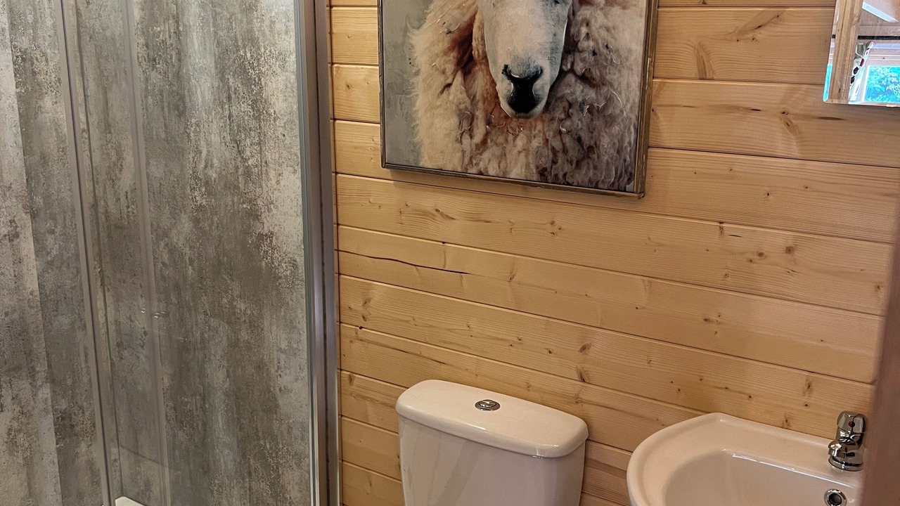 Photo of Bathroom in Caldicot