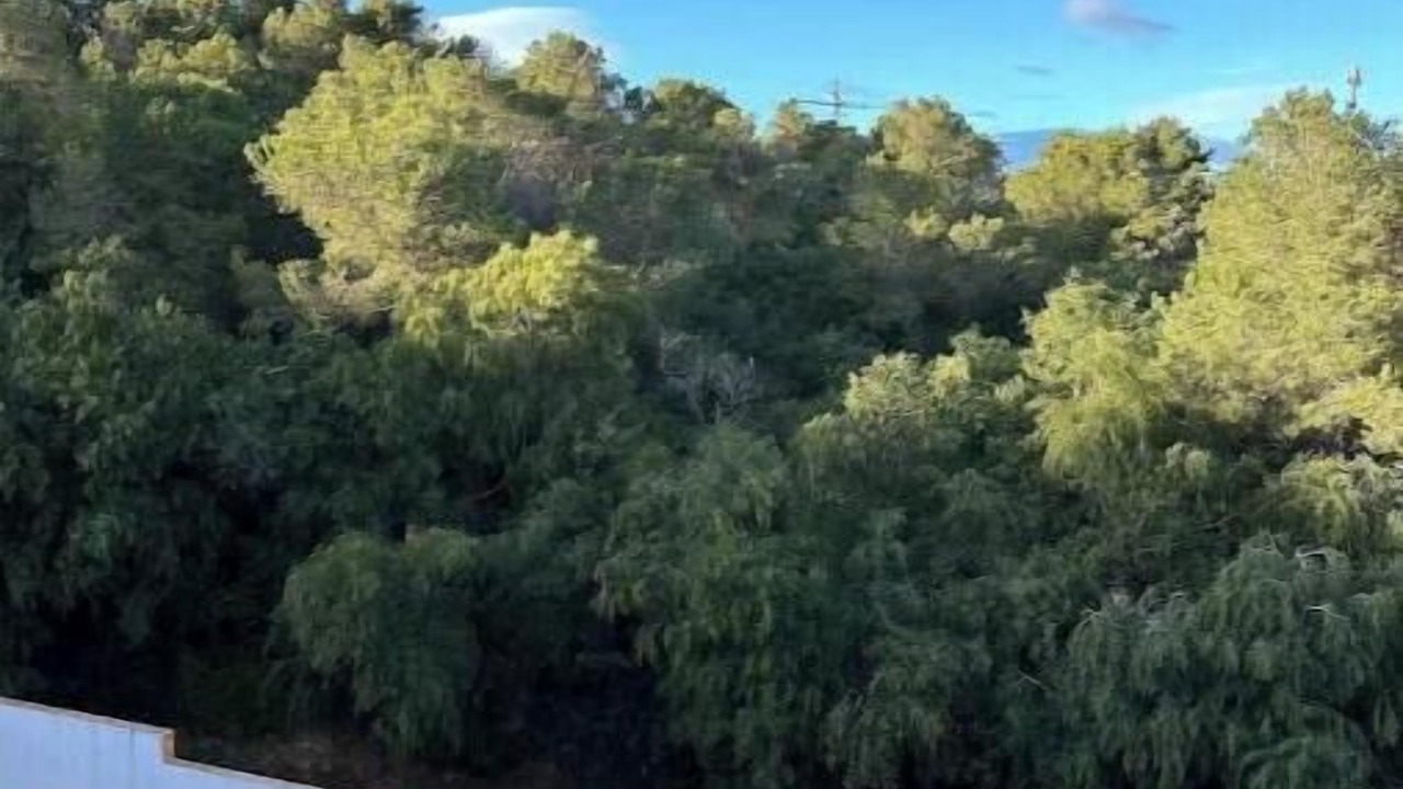 Photo of Outdoor in Cabo Negro
