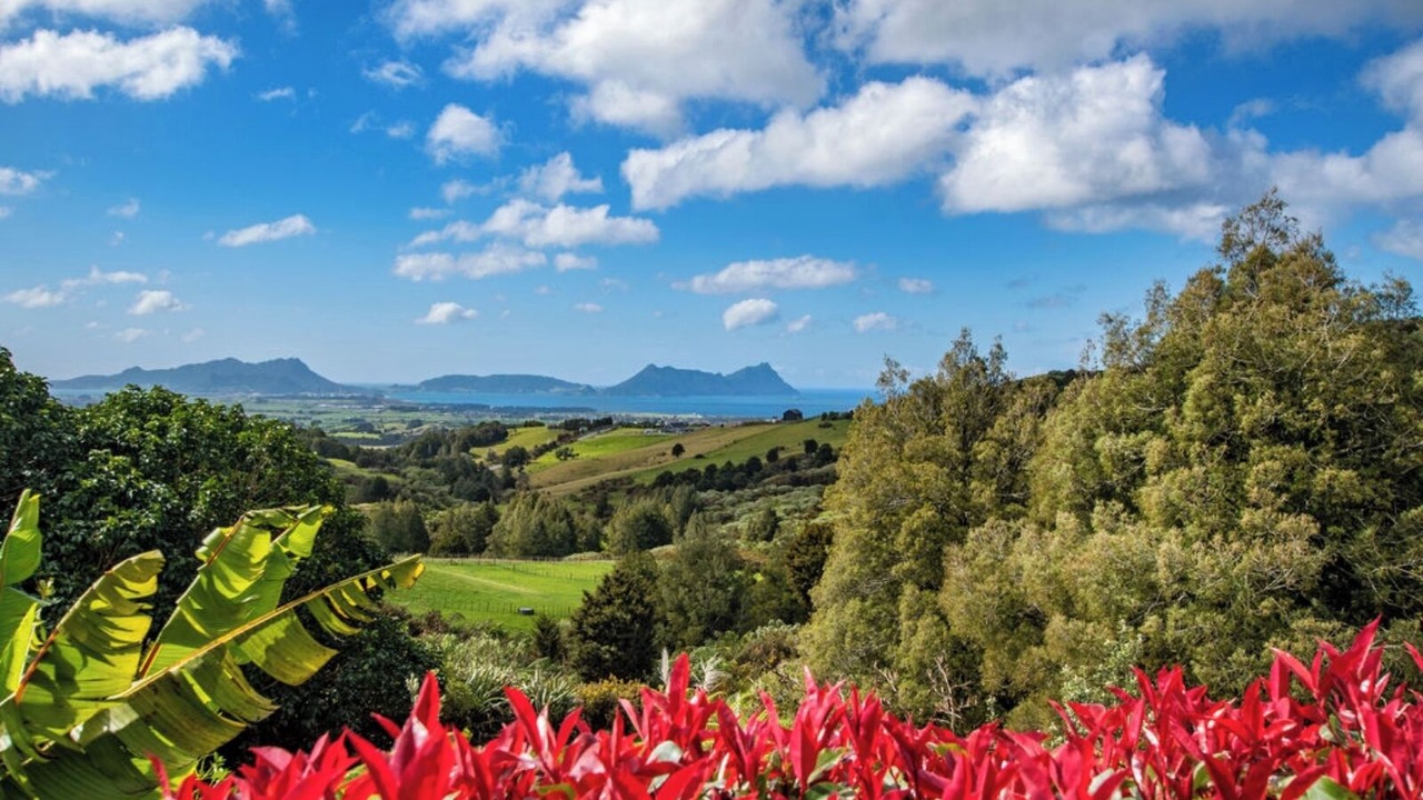 Photo of Others in Ruakaka