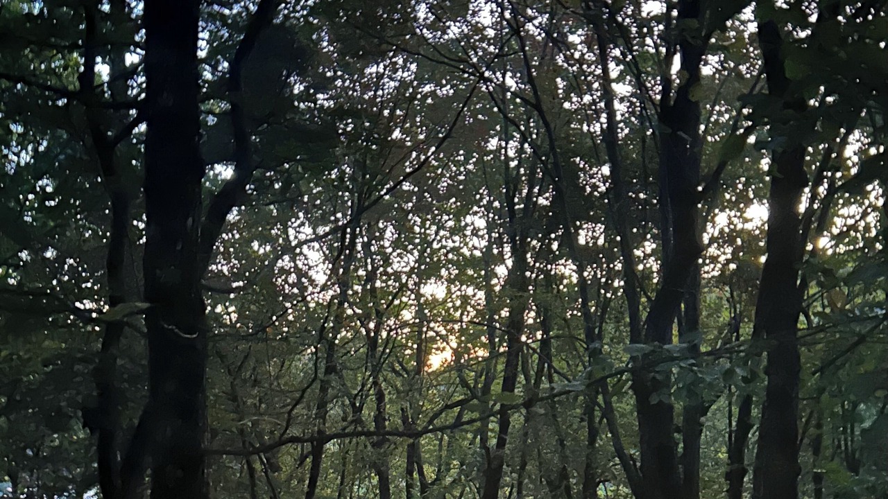Photo of Others in Big Canoe