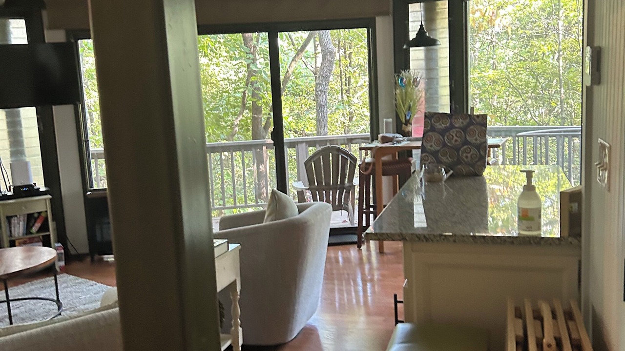 Photo of Livingroom in Big Canoe