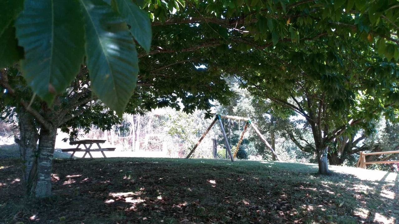 Photo of Others in Orazo