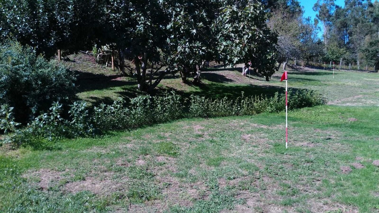 Photo of Others in Orazo