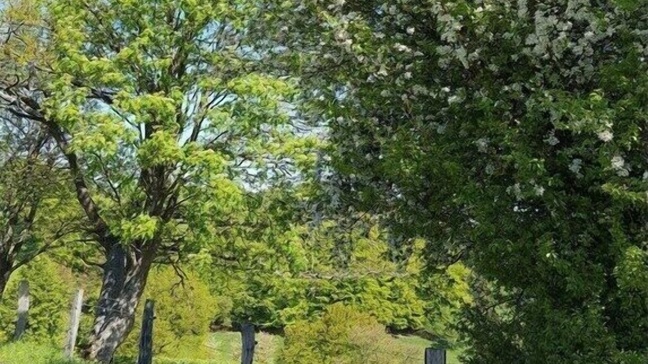Photo of Others in Monschau