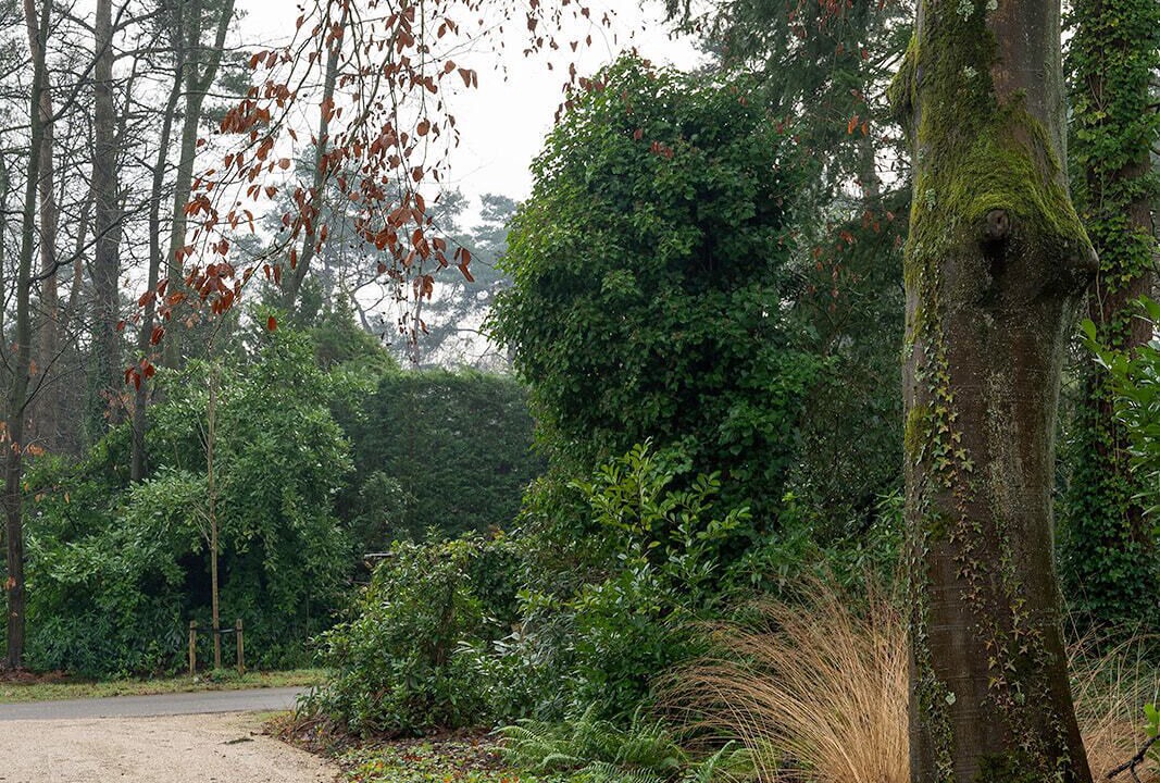 Photo of Outdoor in Kappellenbos