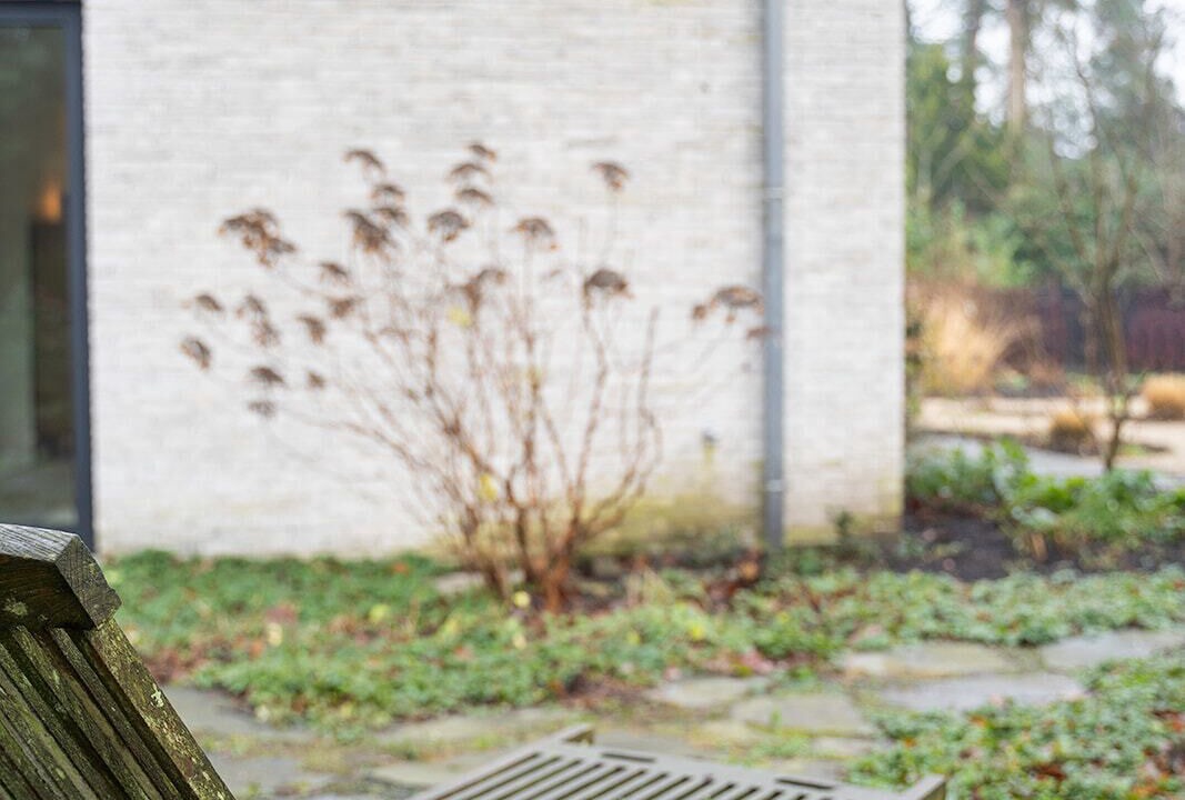 Photo of Outdoor in Kappellenbos