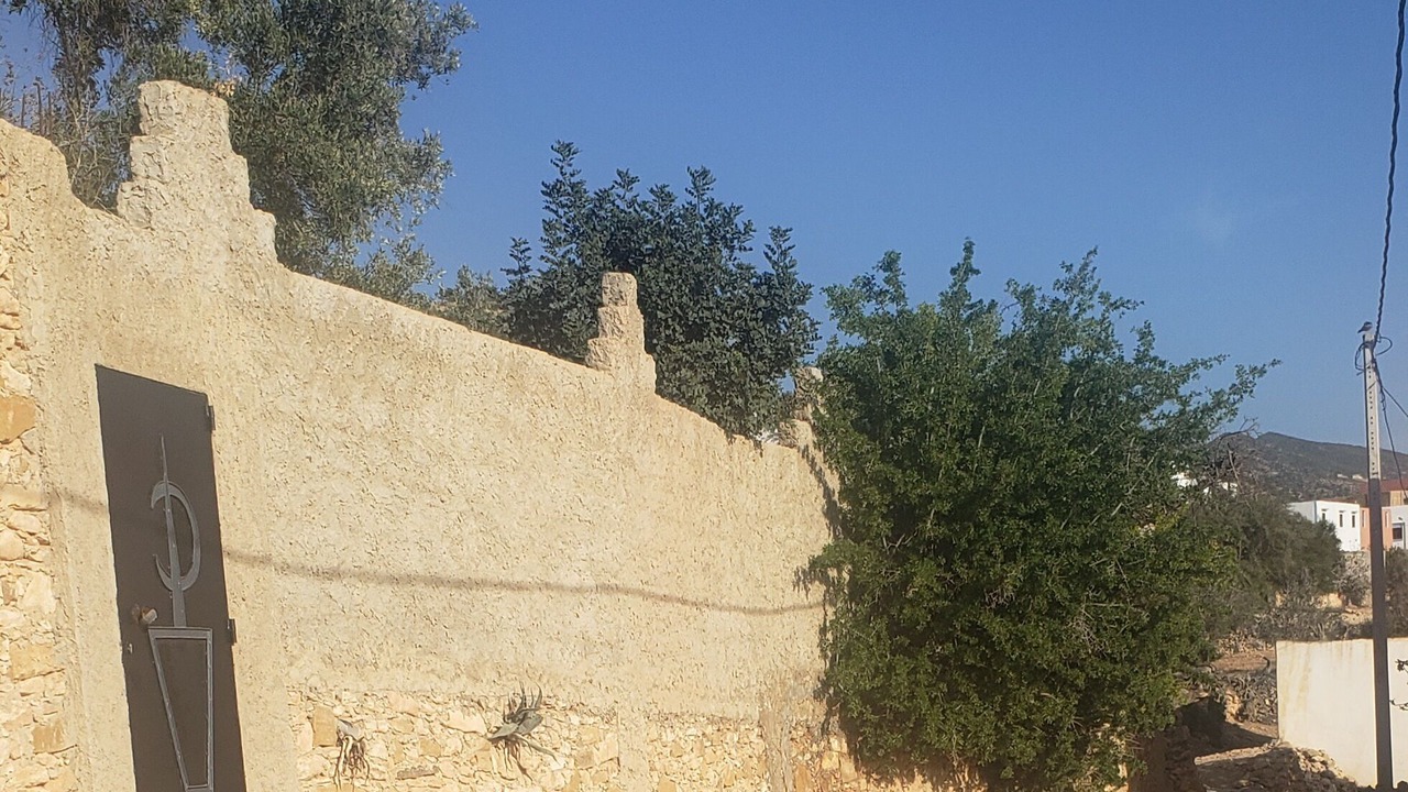 Photo of Outdoor in Taghazout