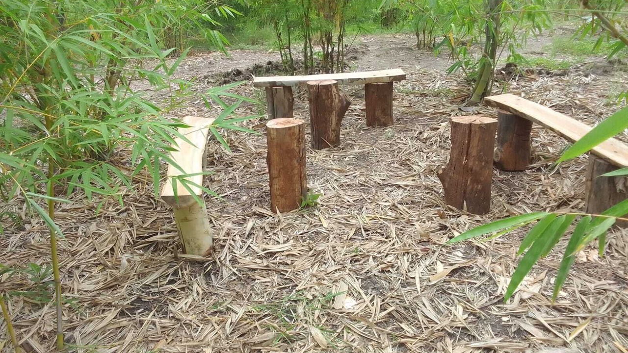 Photo of Outdoor in Kenya