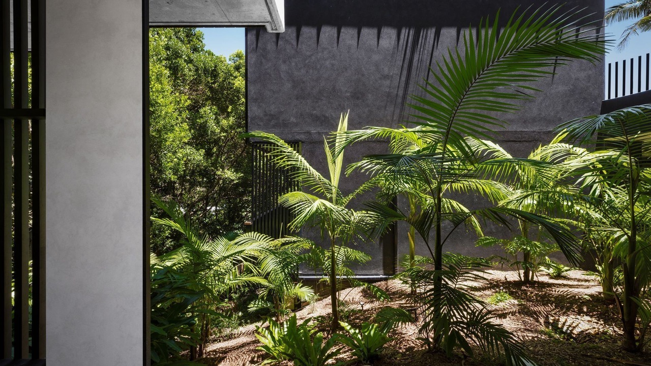 Photo of Outdoor in Byron Bay